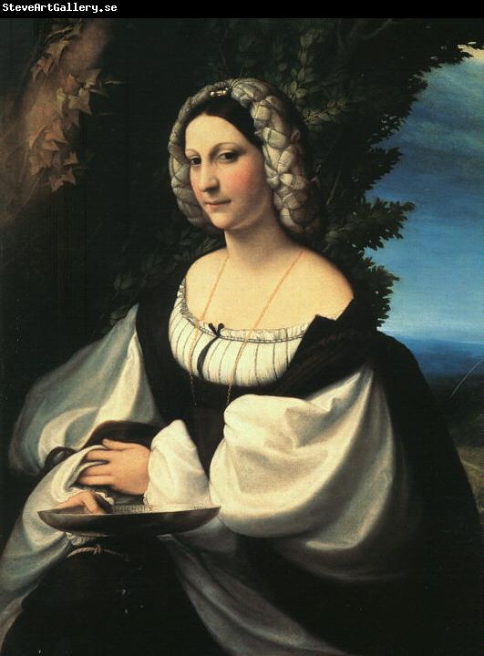 CORNELISZ VAN OOSTSANEN, Jacob Portrait of a Gentlewoman df